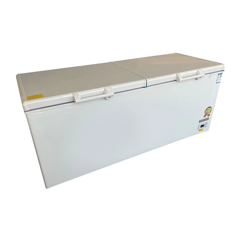 # ตู้แช่แข็งขนาดใหญ่ 1300 ลิตร - Commercial Chest Freezer บทวิจารณ์และราคา