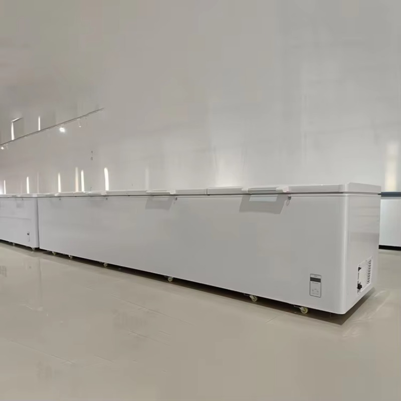 ตู้แช่แข็งแนวนอนเชิงพาณิชย์ขนา - Commercial Chest Freezer บทวิจารณ์และราคา