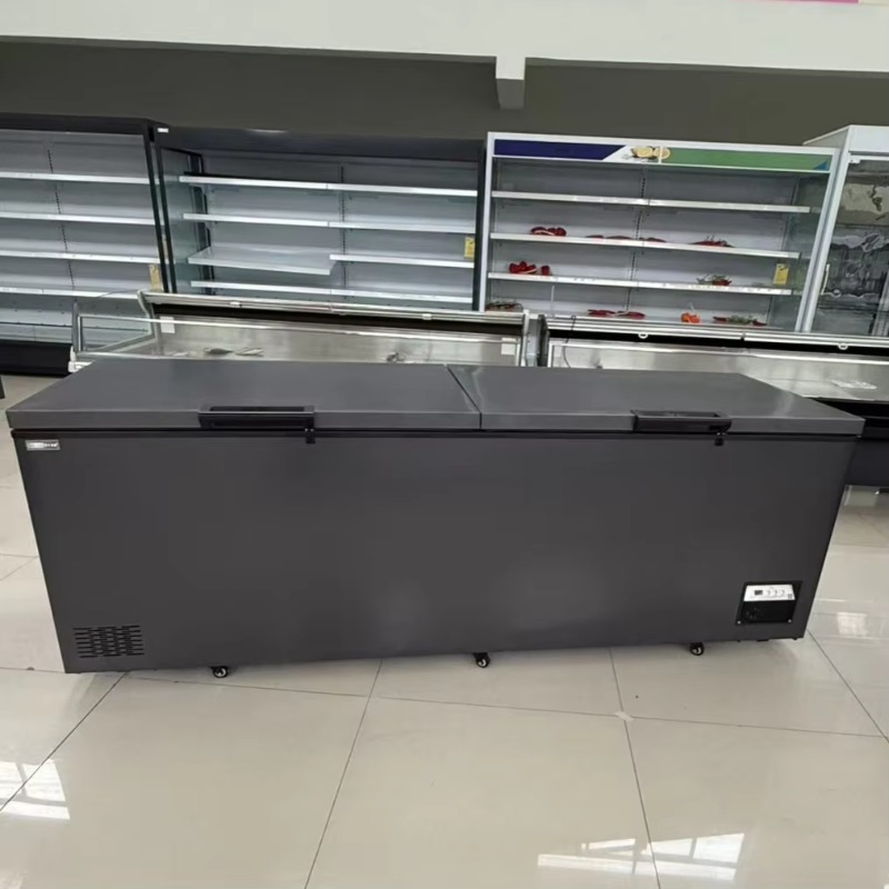 ตู้แช่แข็งแบบแนวนอน ประตูคู่ ข - Commercial Chest Freezer บทวิจารณ์และราคา